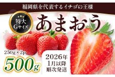 福岡県産 あまおう 500g　先行予約 2026年1月以降より順次発送　BA005-3