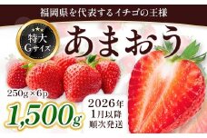 福岡県産 あまおう 1500g　先行予約 2026年1月以降より順次発送　BA007-3