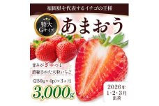 定期便全3回 福岡県産 あまおう 合計3000g 先行予約 2026年1月より順次発送　BA008-3