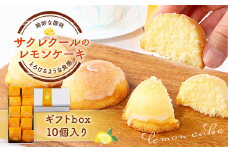 レモンケーキ ギフトbox 10個入り　BJ003