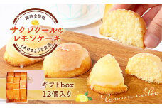 レモンケーキ ギフトbox 12個入り　BJ004