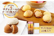 ケーキ5種アソート ギフトbox 10個入り　BJ005
