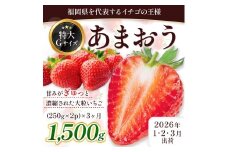定期便全3回 福岡県産 あまおう 合計1500g 先行予約 2026年1月より順次発送　BA024-3