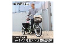 イーパートン＋ ノーパンク ロータイプ 電動アシスト 三輪自転車 CC007