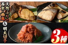 ブリ西京5食・幽庵5食・明太子切子450gのセット(計3種) 福岡 ぶり ブリ 鰤 玄界灘 魚 さかな 西京漬 幽庵漬 味噌漬け 柚子 めんたいこ 辛子明太子 明太 魚卵 海鮮 切れ子 食べ比べ おかず 晩酌 おつまみ 惣菜 焼き魚 小分け 冷凍【マル五】as06-009