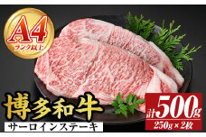 【A4～A5】博多和牛サーロインステーキセット(計500g・250g×2枚) 国産 九州産 福岡県産 牛肉 和牛 黒毛和牛 ステーキ お肉【MEAT PLUS】as08-003