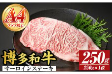 【A4～A5】博多和牛サーロインステーキセット(250g×1枚) 国産 九州産 福岡県産 牛肉 和牛 黒毛和牛 ステーキ お肉【MEAT PLUS】as08-004