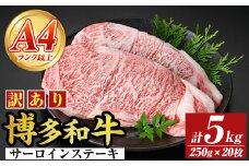 ＜訳アリ＞【A4～A5】博多和牛サーロインステーキ(計5kg・250g×20枚) 国産 九州産 福岡県産 牛肉 和牛 黒毛和牛 ステーキ お肉【MEAT PLUS】as08-020