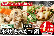 博多名物！九州産ハーブ鶏水炊き&(醤油味)国産牛もつ鍋食べ比べセット(計4人前・各2人前) 福岡 鶏肉 鳥肉 お肉 肉 水炊き みずたき もつ もつ鍋 ホルモン 牛 鍋 鍋セット セット 醤油 しょうゆ  鶏もも 骨付き もみじおろし ポン酢 米粉麺 米麺【マル五】as06-046