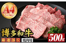 【A4～A5】博多和牛焼肉用(500g) 国産 九州産 福岡県産 牛肉 和牛 黒毛和牛 やきにく お肉【MEAT PLUS】as08-001