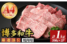 【A4～A5】博多和牛焼肉用(計1kg・500g×2P) 国産 九州産 福岡県産 牛肉 和牛 黒毛和牛 やきにく お肉【MEAT PLUS】as08-057