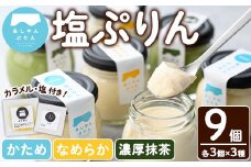 自家製塩ぷりんオリジナルセット(9個) ぷりん プリン デザート スイーツ おやつ 芦屋塩 ギフト プレゼント 贈答用 贈り物 瓶入り 抹茶 塩ぷりん 塩プリン 食べくらべ 食べ比べ セット 詰め合わせ カラメル 洋菓子【あしやんぷりん】as28-001