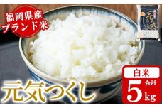 《白米》福岡県産ブランド米「元気つくし」(5kg) 白米 米 お米 おこめ ごはん げんきつくし ご飯 常温 福岡県産 ブランド米 常温 常温保存 おにぎり おむすび お弁当 ライス【朝ごはん本舗】as05-054