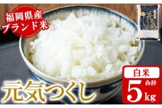 《白米》福岡県産ブランド米「元気つくし」(5kg) 白米 米 お米 おこめ ごはん げんきつくし ご飯 常温 福岡県産 ブランド米 常温 常温保存 おにぎり おむすび お弁当 ライス【朝ごはん本舗】as05-054
