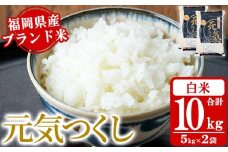 《白米》福岡県産ブランド米「元気つくし」(計10kg・5kg×2袋) 白米 米 お米 おこめ ごはん げんきつくし ご飯 常温 福岡県産 ブランド米 常温 常温保存 おにぎり おむすび お弁当 ライス【朝ごはん本舗】as05-055 