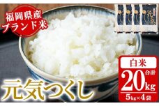 《白米》福岡県産ブランド米「元気つくし」(計20kg・5kg×4袋) 白米 米 お米 おこめ ごはん げんきつくし ご飯 常温 福岡県産 ブランド米 常温 常温保存 おにぎり おむすび お弁当 ライス【朝ごはん本舗】as05-056