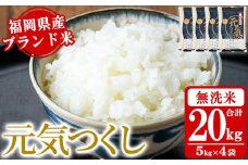 《無洗米》福岡県産ブランド米「元気つくし」(計20kg・5kg×4袋) 無洗米 米 お米 おこめ ごはん げんきつくし ご飯 常温 福岡県産 ブランド米 常温 常温保存 おにぎり おむすび お弁当 ライス【朝ごはん本舗】as05-059