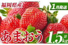 ＜先行予約受付中！2026年1月上旬以降順次発送予定＞ 福岡県産 あまおう (計1.5kg・250g×6パック) いちご イチゴ 苺 ストロベリー 果物 フルーツ おやつ デザート スイーツ 福岡県 小分け アマオウ 1月発送 期間限定 数量限定 冷蔵 【エフビーネット】as47-005