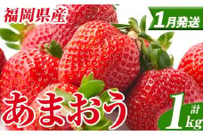 ＜先行予約受付中！2026年1月上旬以降順次発送予定＞ 福岡県産 あまおう (計1kg・250g×4パック) いちご イチゴ 苺 ストロベリー 果物 フルーツ おやつ デザート スイーツ 福岡県 小分け アマオウ 1月発送 期間限定 数量限定 冷蔵 【エフビーネット】as47-004