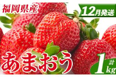 ＜先行予約受付中！2025年12月発送予定＞ 福岡県産 あまおう (計1kg・250g×4パック) いちご イチゴ 苺 ストロベリー 果物 フルーツ おやつ デザート スイーツ 福岡県 小分け アマオウ 12月発送 期間限定 数量限定 冷蔵 【エフビーネット】as47-002