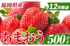 ＜先行予約受付中！2025年12月以降順次発送予定＞ 福岡県産 あまおう (計500g・250g×2パック) いちご イチゴ 苺 ストロベリー 果物 フルーツ おやつ デザート スイーツ 福岡県 小分け アマオウ 12月発送 期間限定 数量限定 冷蔵 【エフビーネット】as47-001