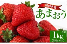 ＜先行予約受付中！2026年2月上旬より順次発送予定＞福岡県産 あまおう (計1kg・250g×4P) いちご イチゴ 苺 ストロベリー 果物 フルーツ おやつ デザート 1000g 4パック 冷蔵【錦屋商事】as48-001