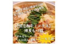 ＜黒毛和牛ミックス＞博多もつ鍋セット(濃縮テールスープ・チャンポン麺・薬味付)5～6人前【1642561】