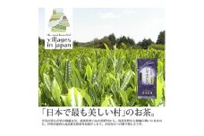＜毎月定期便＞奥八女星野村 深蒸し高級煎茶(深蒸し茶)100g×1袋(水巻町)全6回【4011474】