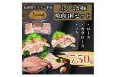 ふくよか豚焼肉3種セット750g(ロース・カタロース・バラ各250g)_ロース 肩ロース バラ モモ ロース肉 肩ロース肉 バラ肉 モモ肉 小分け ブタ肉 焼きそば 豚汁 冷凍 福岡県 福岡 九州 グルメ お取り寄せ【1566244】