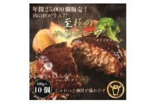 おんどるハンバーグ(オリジナルソース)10個【1577826】