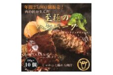 おんどるハンバーグ(ブラックジャポネソース)10個【1577827】
