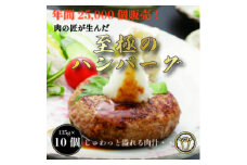 おんどるハンバーグ(ソース無し)10個【1580604】