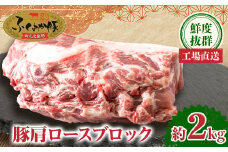 工場直送・鮮度抜群・ダイナミック　＜ふくよか豚＞豚肩ロースブロック　約2kg_豚肩ロースブロック 豚肩ロースブロック肉 豚肉 肩ロース ブロック肉 豚ブロック肉 豚 ふくよか豚 トンテキ ステーキ しょうが焼き とんかつ チャーシュー ローストポーク 冷蔵便【1028578】