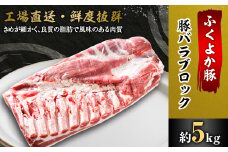 工場直送・鮮度抜群・ダイナミック　＜ふくよか豚＞豚バラブロック　約5kg_豚バラブロック 豚バラブロック肉 豚肉 ブタ肉 豚 豚バラ ブロック肉 塊肉 自家製ベーコン チャーシュー しゃぶしゃぶ 角煮 燻製 煮込み料理 ふくよか豚 焼き鳥 サムギョプサル 冷蔵【1028581】