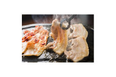 福岡県産 ふくよか豚 焼肉3種盛(骨付きカルビ250g、バラ250g、肩ロース100g×3枚)【1116061】