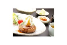 おんどるハンバーグ (ソース無×10個)【1146840】