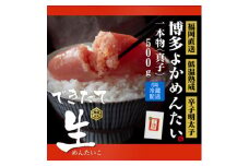 無冷凍 辛子明太子 博多よかめんたい 生 贈答用 500g 1本もの【1307730】
