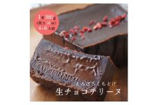 とろける生チョコテリーヌ　380g/1本(福岡県水巻町)【1381670】