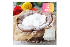 生ガトーショコラ　5号　直径15cm【1407243】