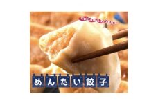黒豚入りめんたい餃子　50個入り【1425845】