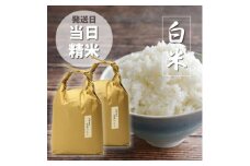 福岡県産「元気つくし」5kg×2袋 [10kg] [白米](水巻町)【1445308】