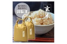 福岡県産「元気つくし」5kg×2袋 [10kg] [玄米](水巻町)【1445326】