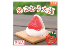 ＜あまおう農家が作った＞おまおう大福　6個入り(水巻町)【1453739】