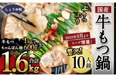 国産 牛もつ鍋 10人前 ちゃんぽん・濃縮スープ付き（醤油味）