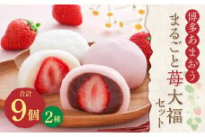 博多あまおう まるごと 苺大福 9個セット 和菓子 白あん こしあん (YF-MA)【配送不可地域：離島】