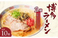 博多ラーメン 10食入り 豚骨 ラーメン 半生極細ストレート麺
