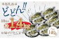 骨取り 天然 塩さばフィレ 5切×2パック 計1.4kg
