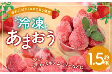冷凍あまおう 約1.5kg 冷凍フルーツ いちご