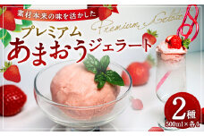 プレミアムあまおうジェラート 2種セット 500ml×2個 アイス シャーベット いちご