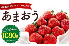 数量限定 福岡県産 あまおう 270g×4パック【2026年2月上旬～4月上旬発送予定】